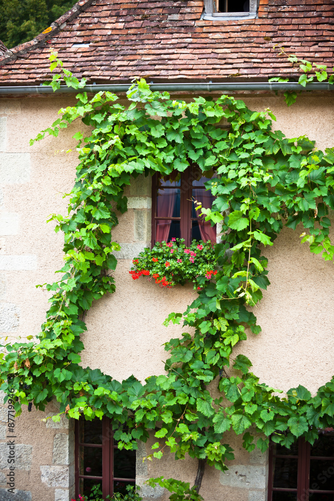 House facade with climbing grapes in France