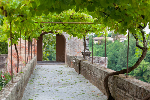 Palais de la Berbie Gardens Alley at Albi  Tarn  France