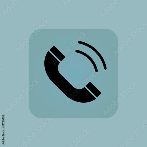 Pale blue calling icon