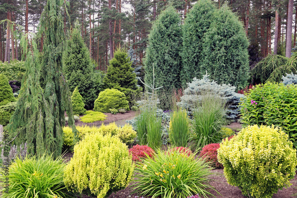 Obraz premium design garden landscape with mix of plants