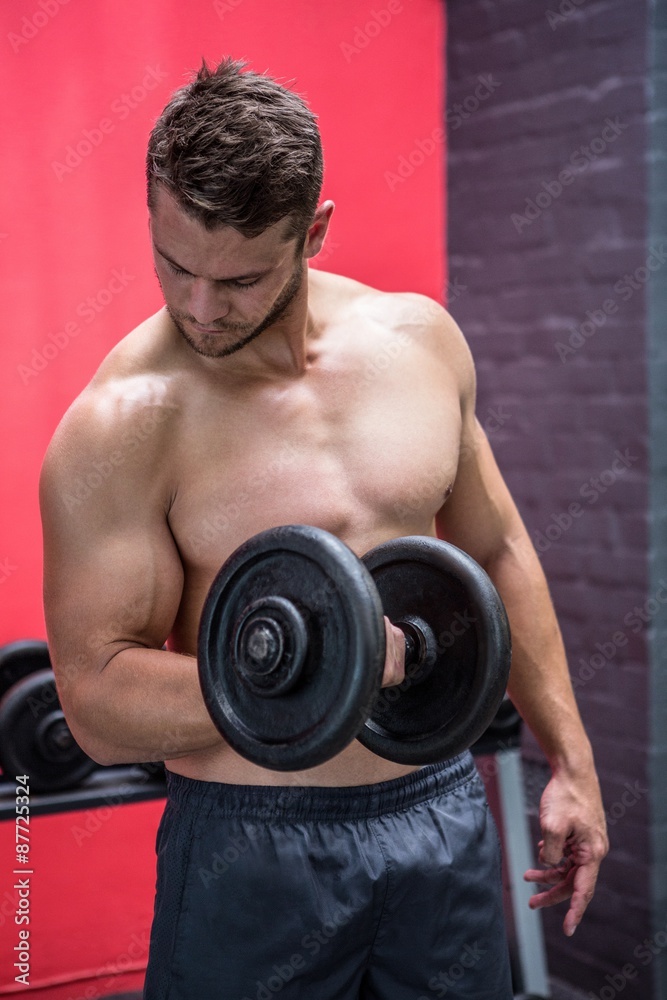 Muscular man lifting dumbbell