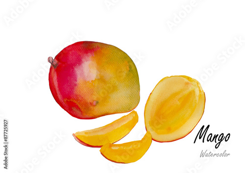 Mangoes.Hand drawn watercolor painting on white background .Vector illustration