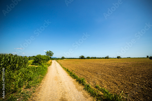 road through the fields