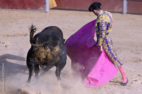 Bullfighter in a bullring 