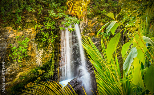 Waterfall in a tropical jungle