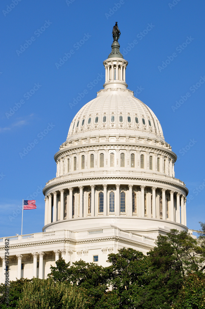 Obraz premium Dome of the United States Capitol Building in Washington, DC, USA.