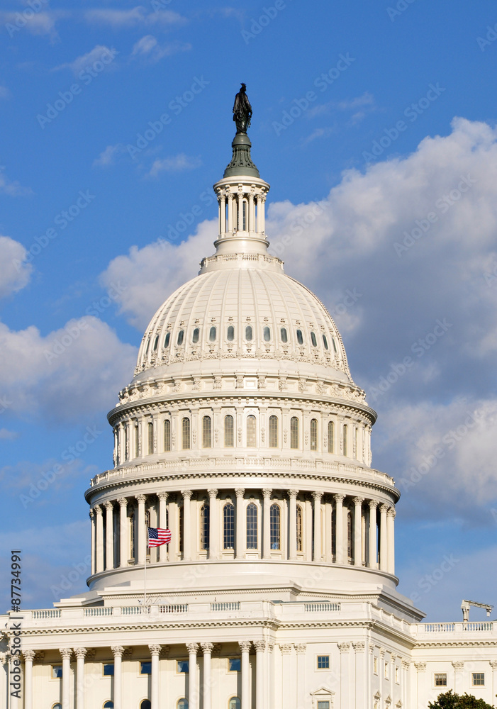 Dome of the United States Capitol Building in Washington, DC, USA.