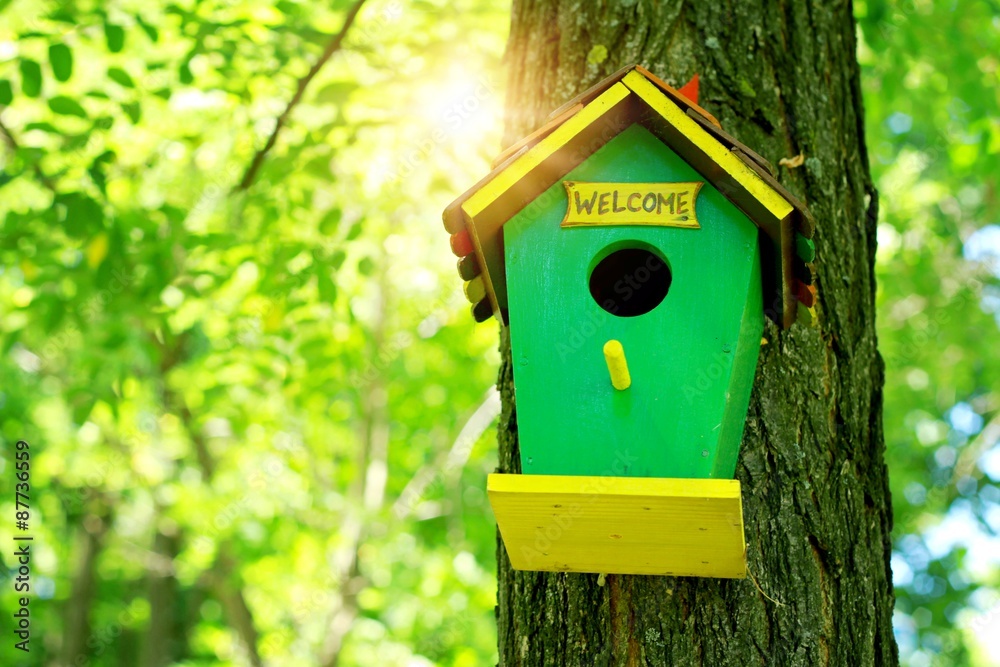 Cute little birdhouse on a tree. Home sweet home concept. Cute little birdhouse on a tree. Home sweet home concept.
