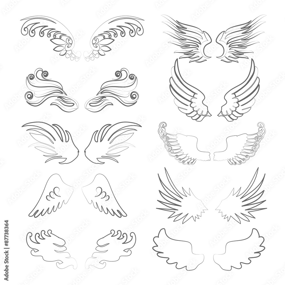 Wings outline set in vector Wings outline set in vector
