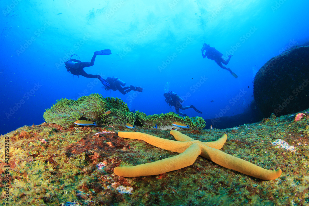 Scuba divers exploring a tropical coral reef with fish