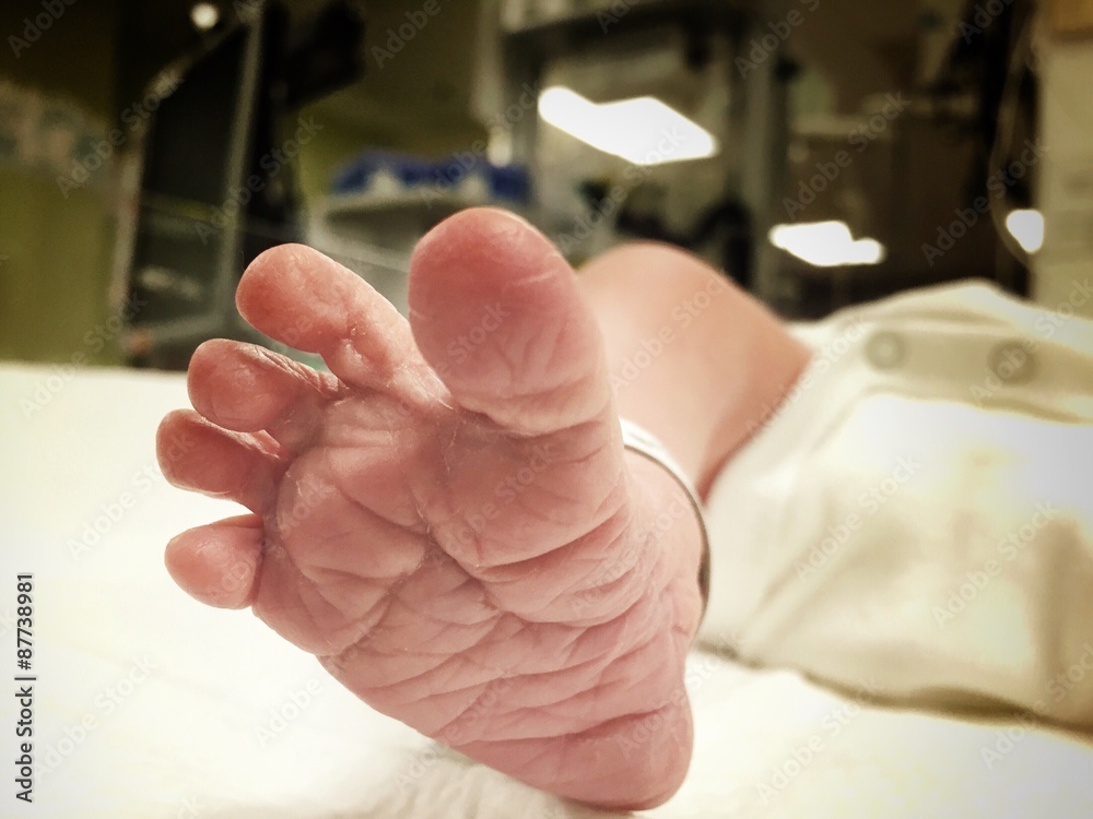 Fototapeta premium newborn baby foot