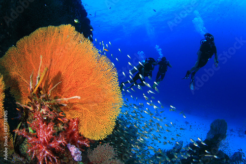 Fototapeta Naklejka Na Ścianę i Meble -  Scuba divers explore tropical coral reef