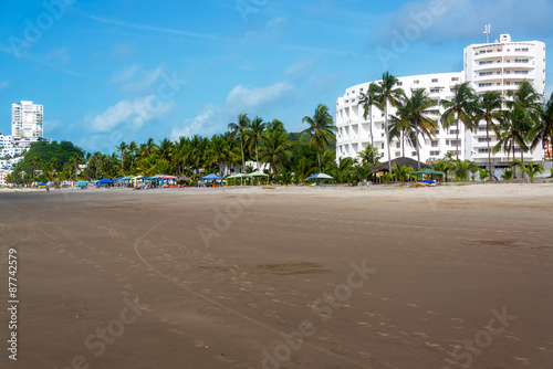 Beach and Palm Trees © jkraft5