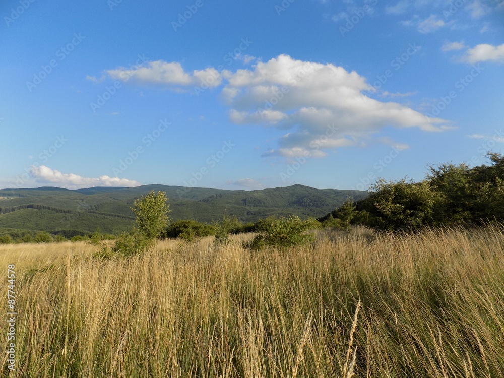 Meadow, forests and sky