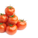 Pile of multiple tomatoes isolated