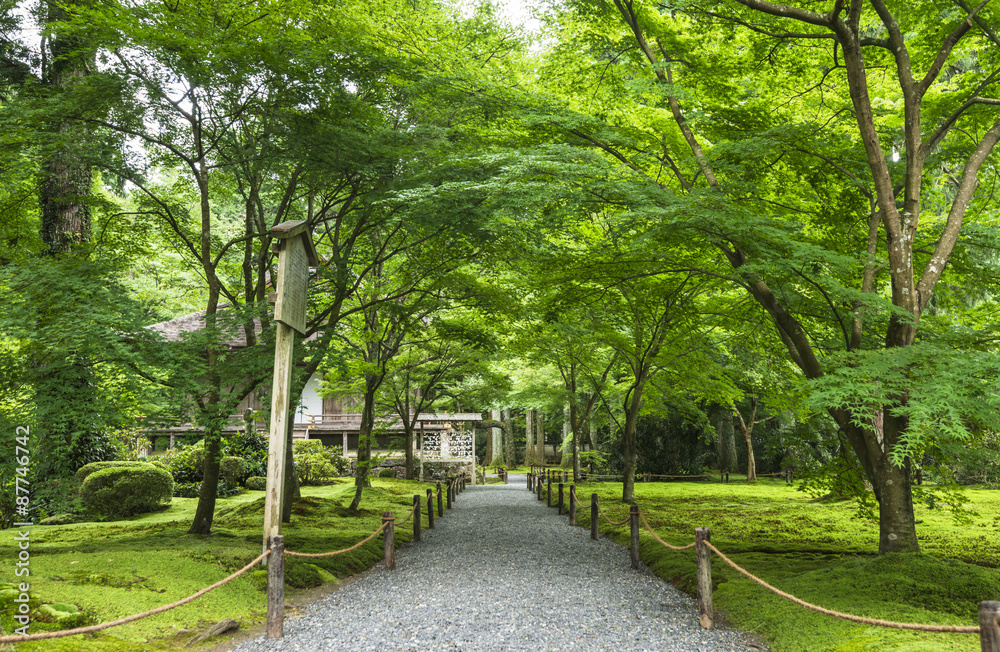 京都　三千院　有清園