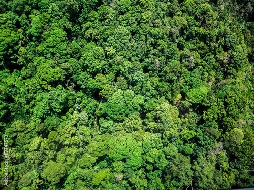 Aerial view of the forest © khlongwangchao