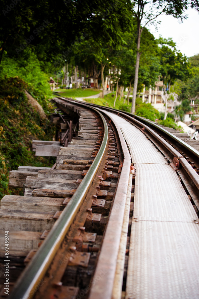 Railway tracks through forest