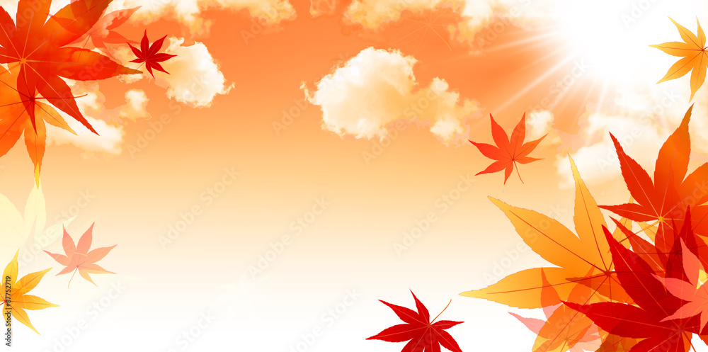 もみじ 紅葉 背景 もみじ 紅葉 背景