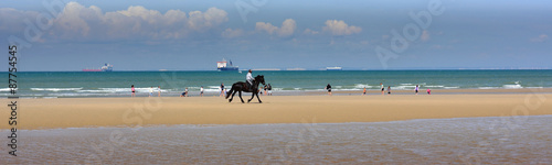Obraz na płótnie chevaux devant les côtes anglaises