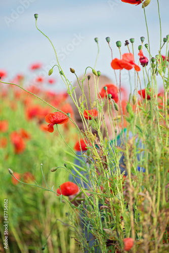 Tender shot of red poppies
