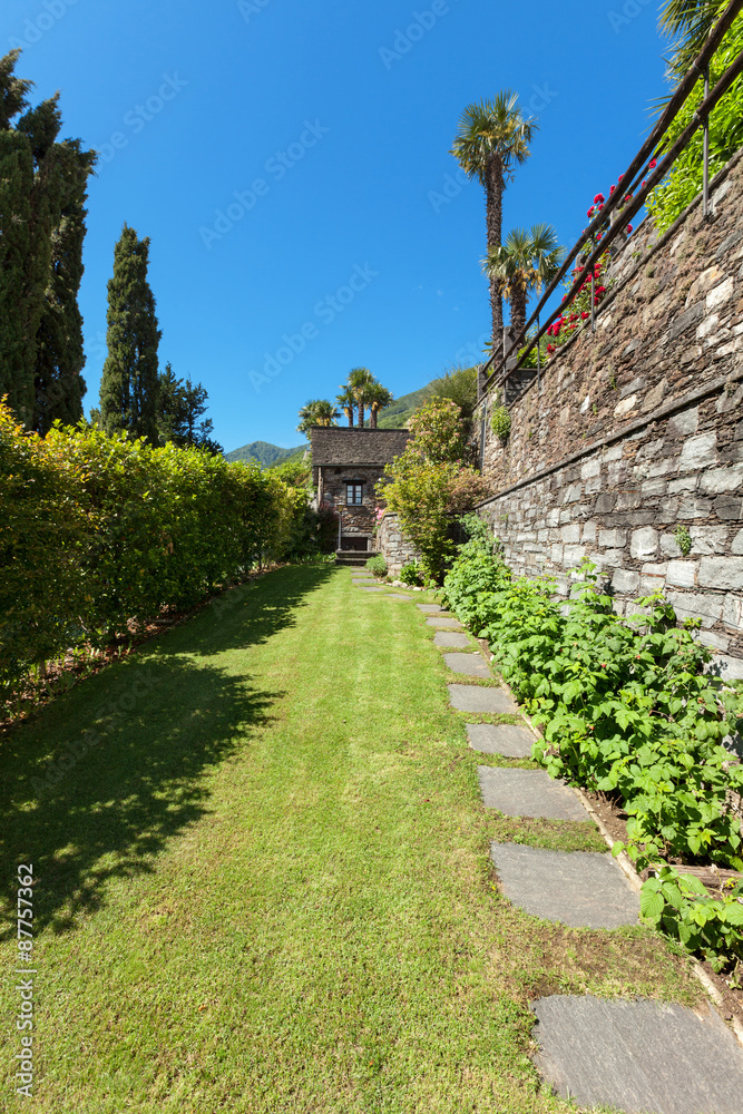 green garden with hedges