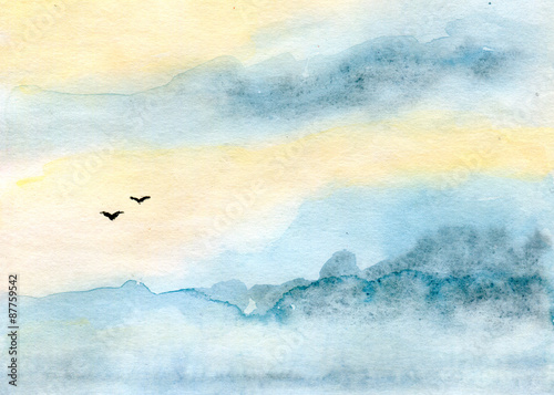 sky and birds
