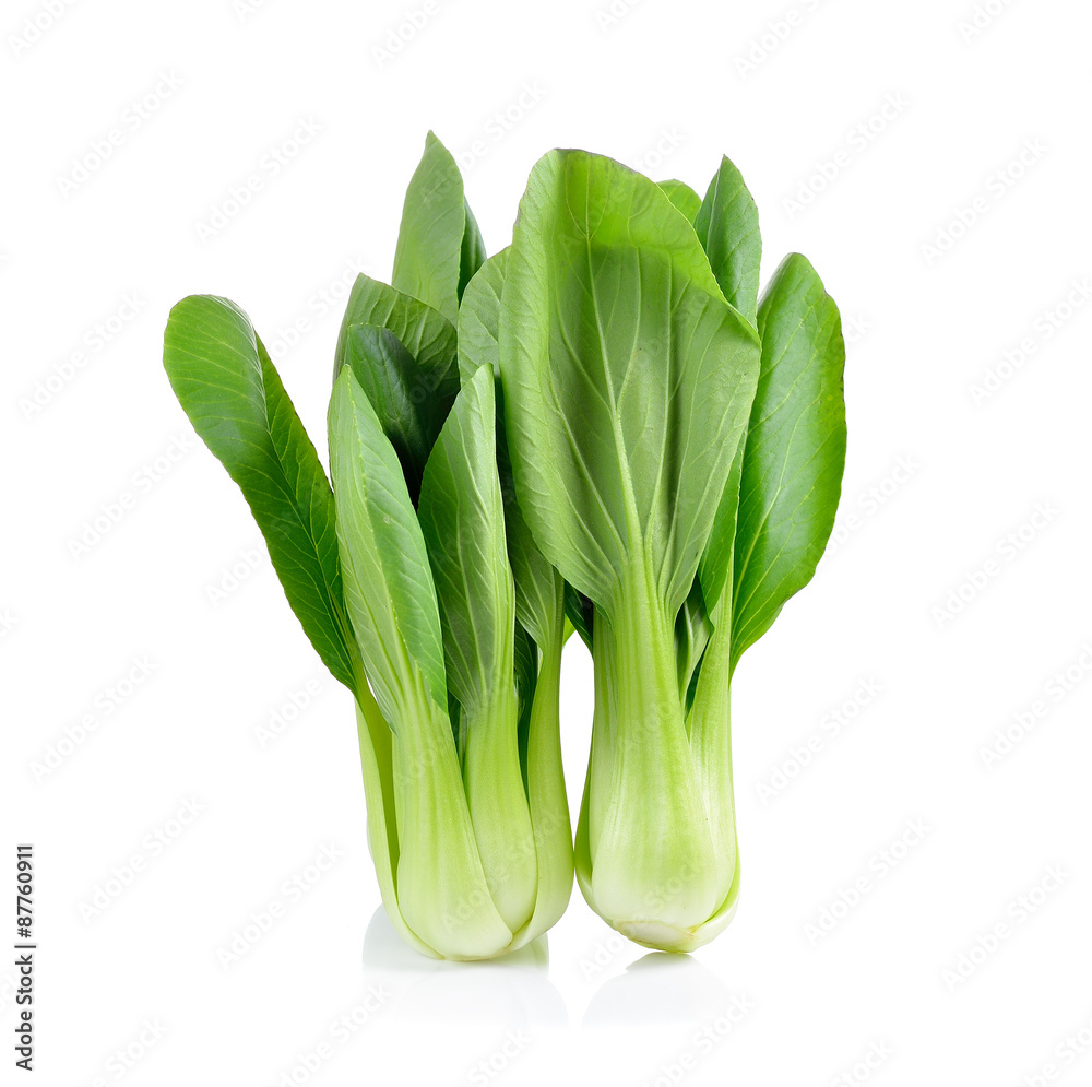 Bok choy vegetable on white background Bok choy vegetable on white background