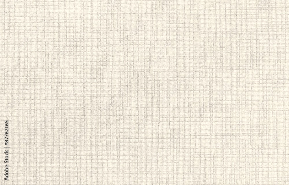 Texture of the paper as a background.