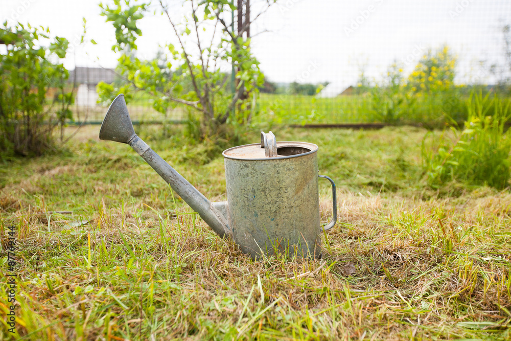 Old, rusty watering can standing on grass Old, rusty watering can standing on grass