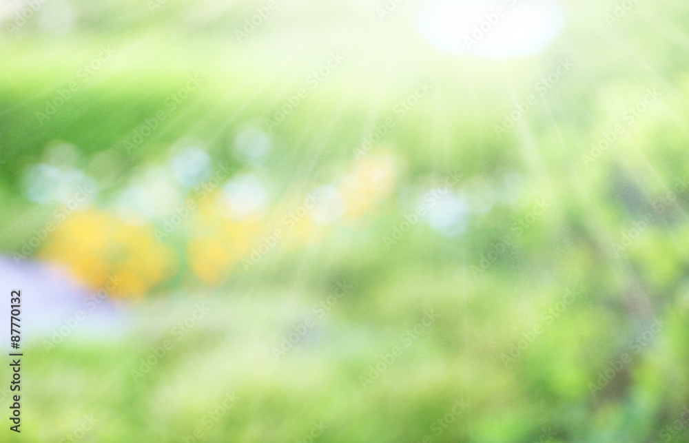 Obraz premium Abstract nature background