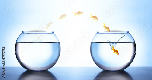 Goldfish jumping from aquarium to another, on light blue background