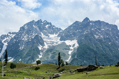 Mountain view of Sonamarg, Kashmir, India © zephyr_p