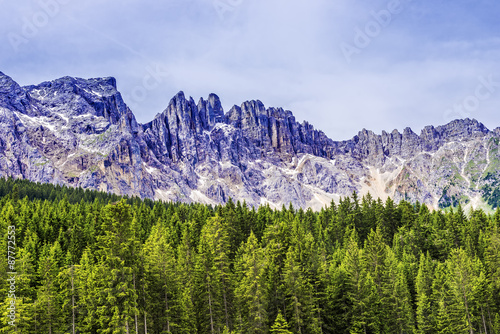 Wald und Gebirge photo