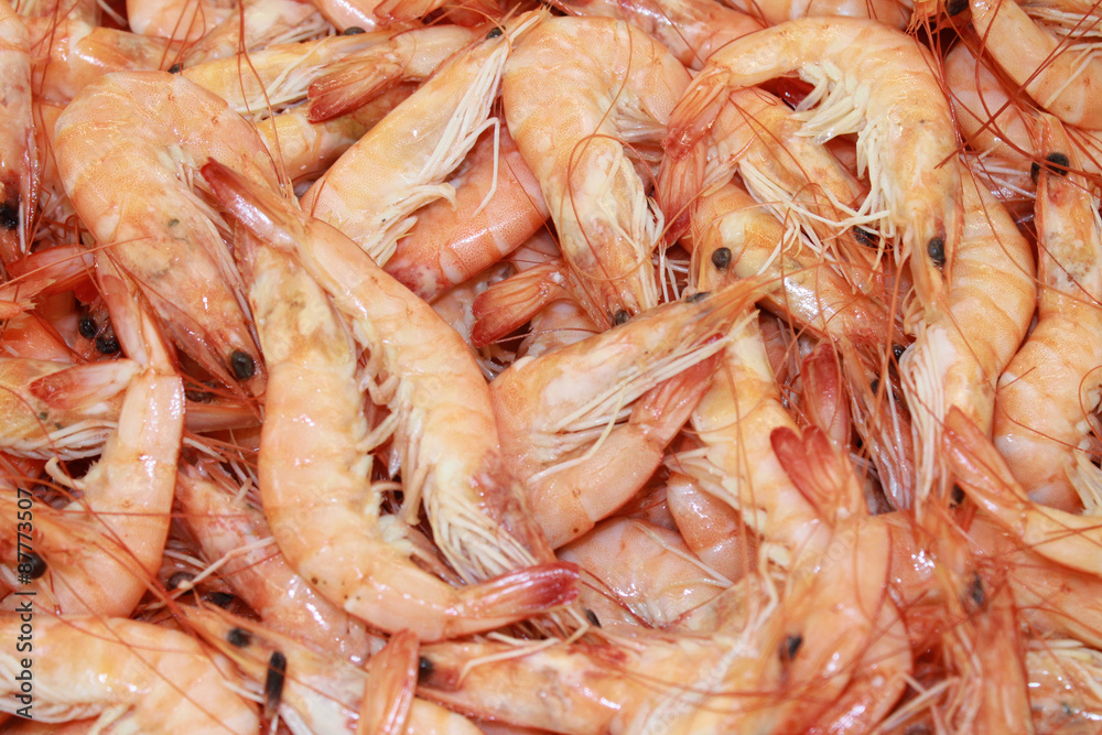 crevettes roses cuites crevettes roses cuites