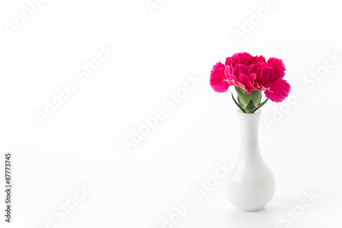 red carnations flower