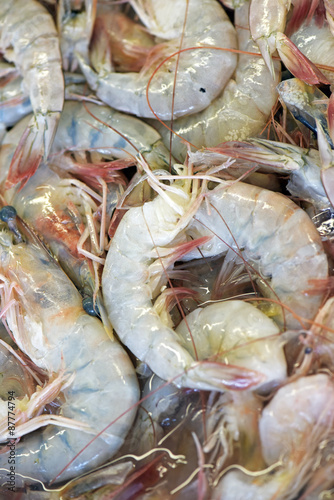 Shrimp exposed in fish market