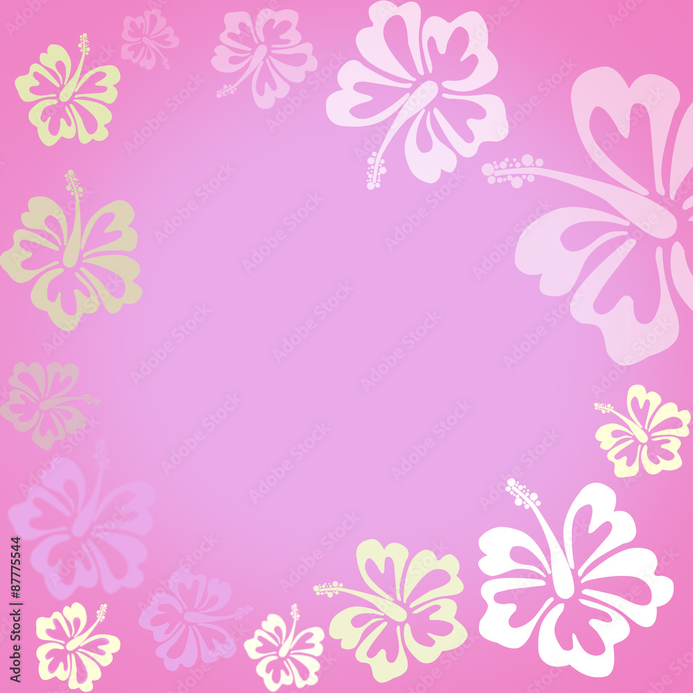 Hibiscus flowers on pink background shaped as frame with space for your text
