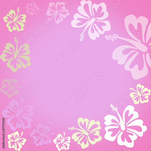 Hibiscus flowers on pink background shaped as frame with space for your text