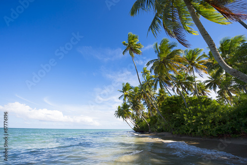 Coconut palm trees wave in blue sky above waves hitting the shore of a rustic Brazilian beach in Nordeste Bahia Brazil