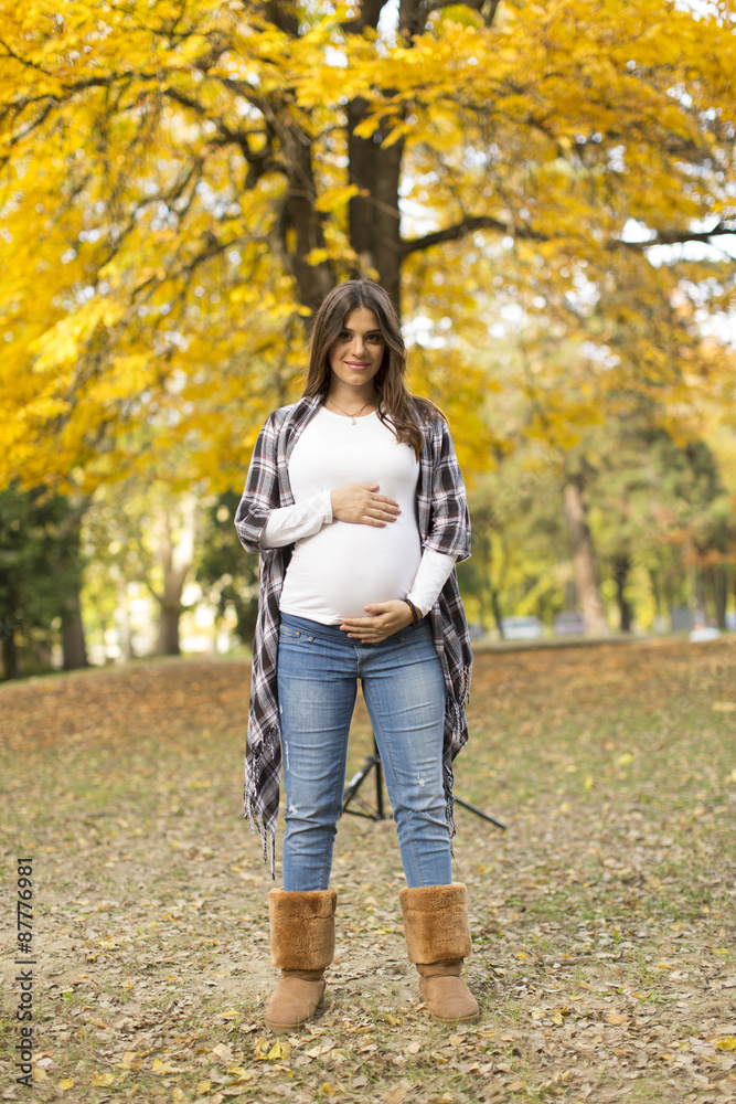 Pregnant woman in the autumn park Pregnant woman in the autumn park