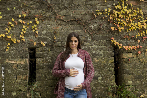 Young pregnant woman in the...