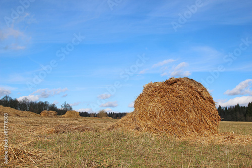 Slika na platnu Haystacks on the farm