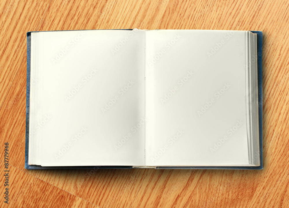 Blank opened book Blank opened book