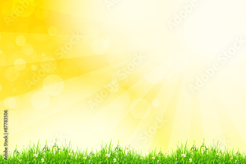 Fresh green grass with yellow bokeh and sunlight. Beauty natural