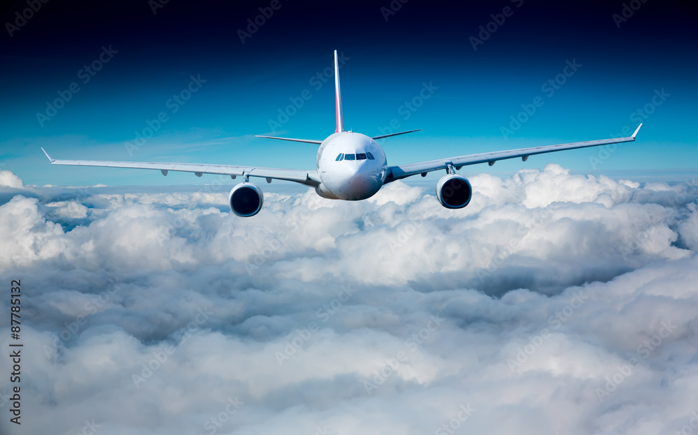 Fototapeta premium Passenger Airliner in the sky