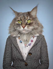 Fototapete Hipster Tiere Katze im Anzug Vintage Porträt  © cranach