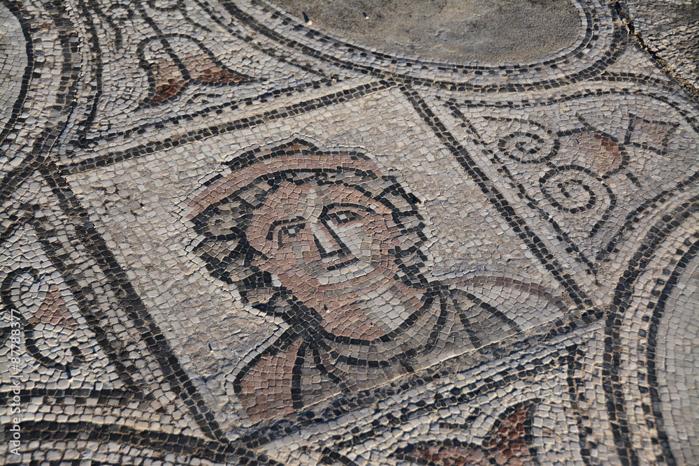 Mosaic in Volubilis Roman Ruins, Morocco