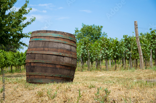 wooden barrel in vineyard