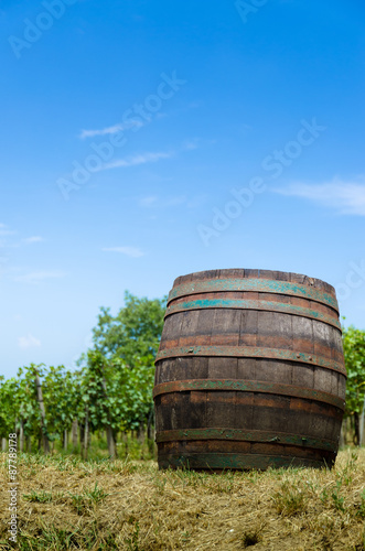 wooden barrel in vineyard